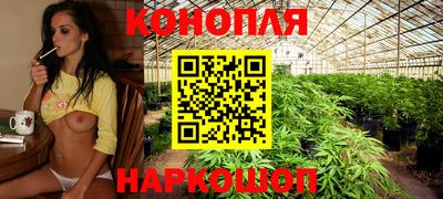 ECSTASY Нальчик