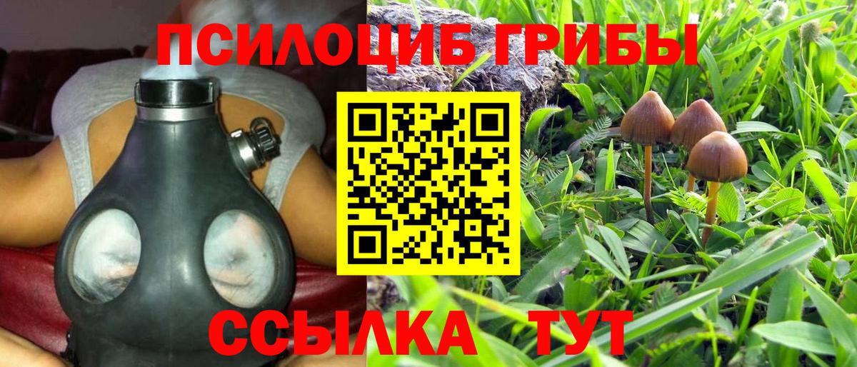 Галлюциногенные грибы Magic Shrooms Унеча