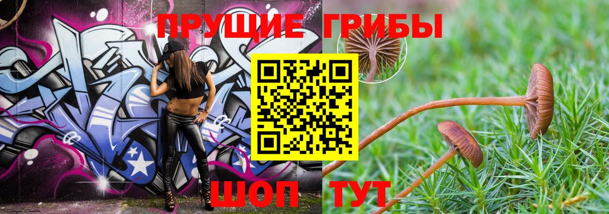 Унеча  Галлюциногенные грибы мицелий  наркошоп  Вход с VPN 